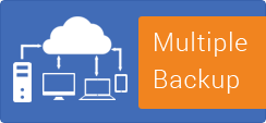 RSM - Repair and Service Management Multiple Backup Feature